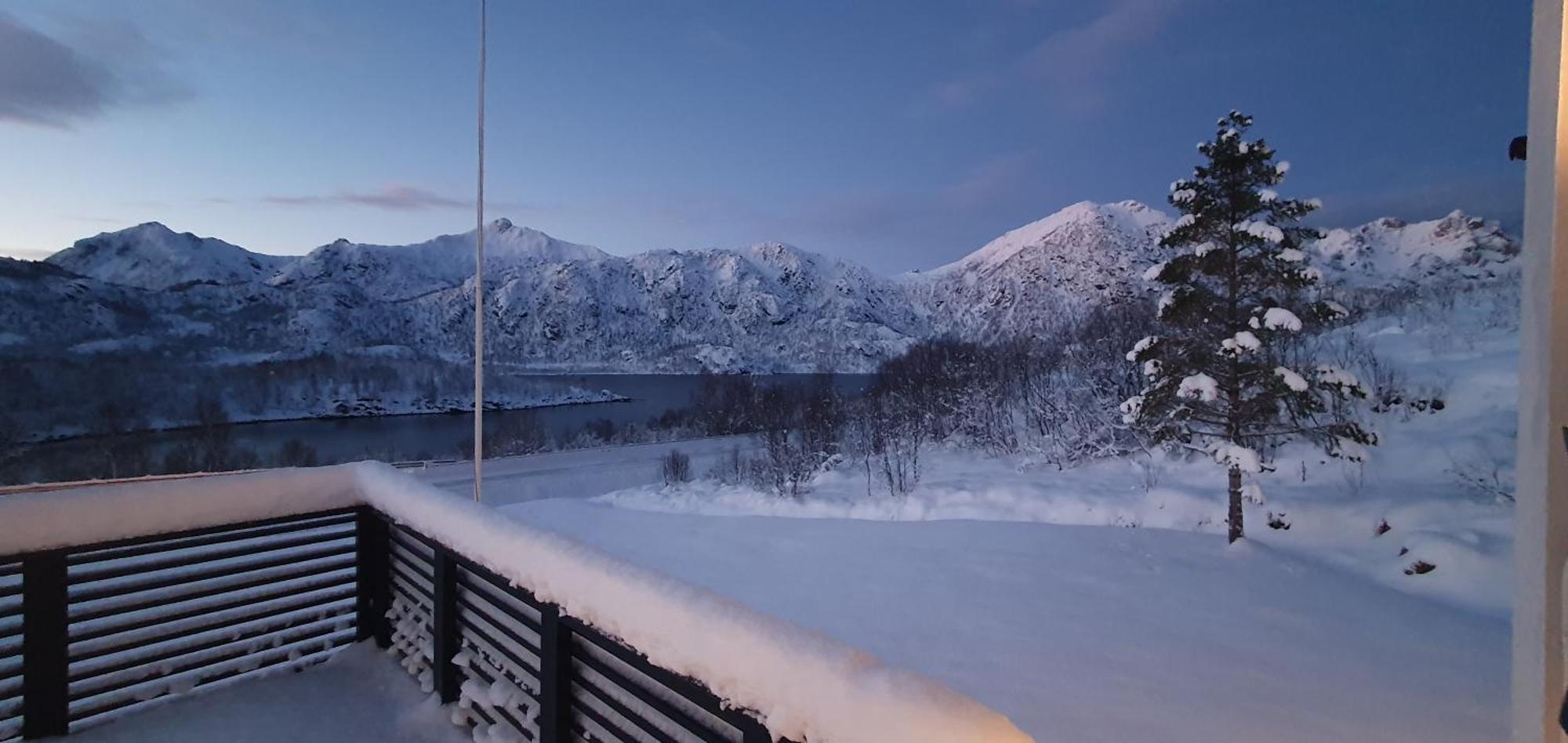 Julia Myre (Nordland) Exterior foto