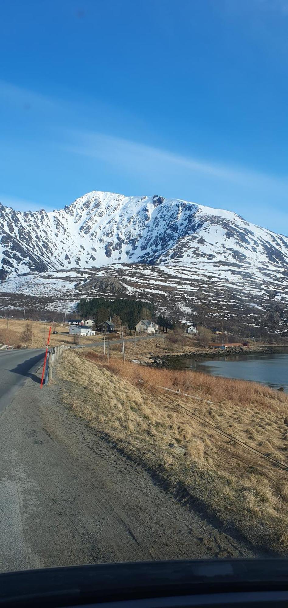 Julia Myre (Nordland) Exterior foto